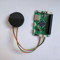 1.28-inch IPS Round LCD Display Module
